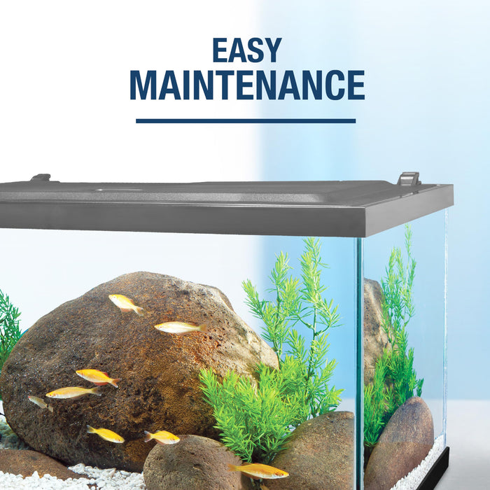 Tetra Aquarium, 20 Gallon, Complete Tropical Fish Tank Kit With LED Lighting And Decor For Freshwater Fish